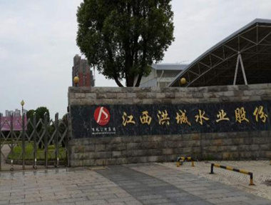 江西洪城水業