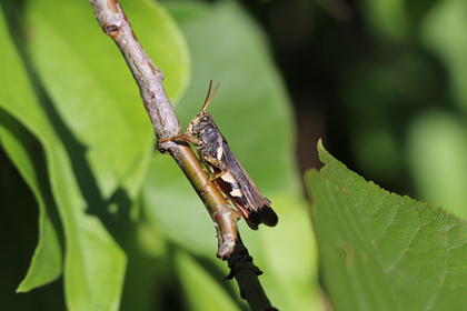污泥濃度計的變送器和傳感器如何選擇安裝位置