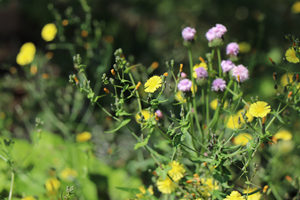 Mlss計的傳感器如何在管道上安裝？